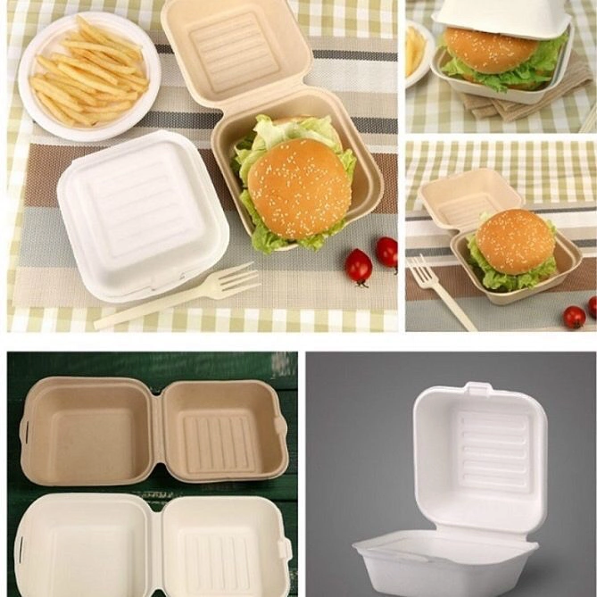 Disposable Biodegradable Sugarcane Bagasse Pulp Paper Food Packaging Container Box