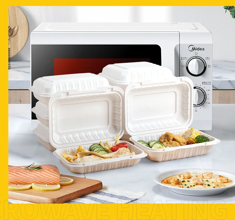 Low Price Luch Box and High Quality Disposable Food Contanier Food Packaging